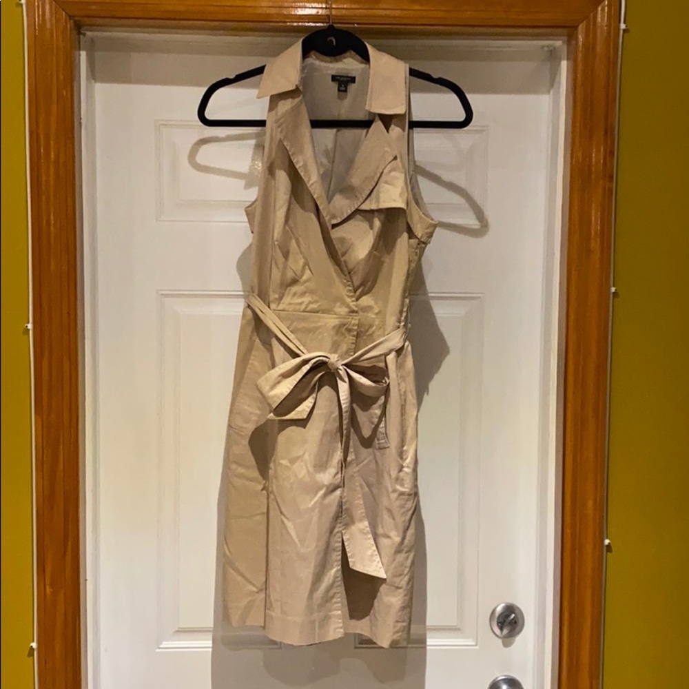 Ann Taylor Dress